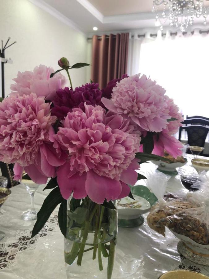 Bokonbayevo Guest House Semetei מראה חיצוני תמונה